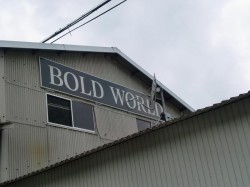 BOLD WORLD